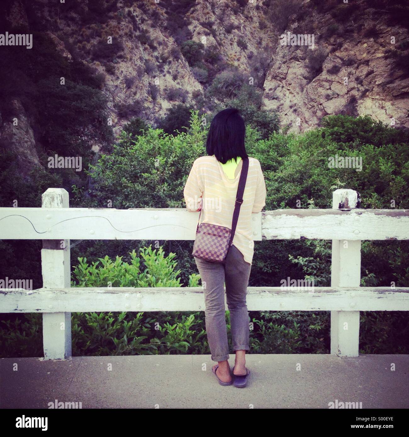 Woman looking out over a canyon in Pasadena, California. Stock Photo