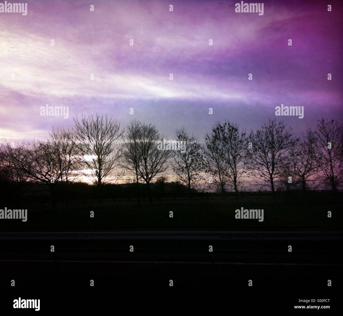 Trees and landscape hi-res stock photography and images - Alamy