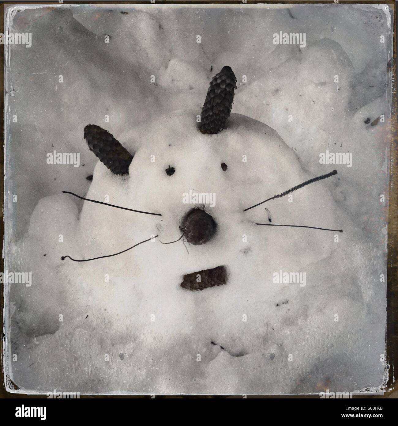 Snow mouse hi-res stock photography and images - Alamy