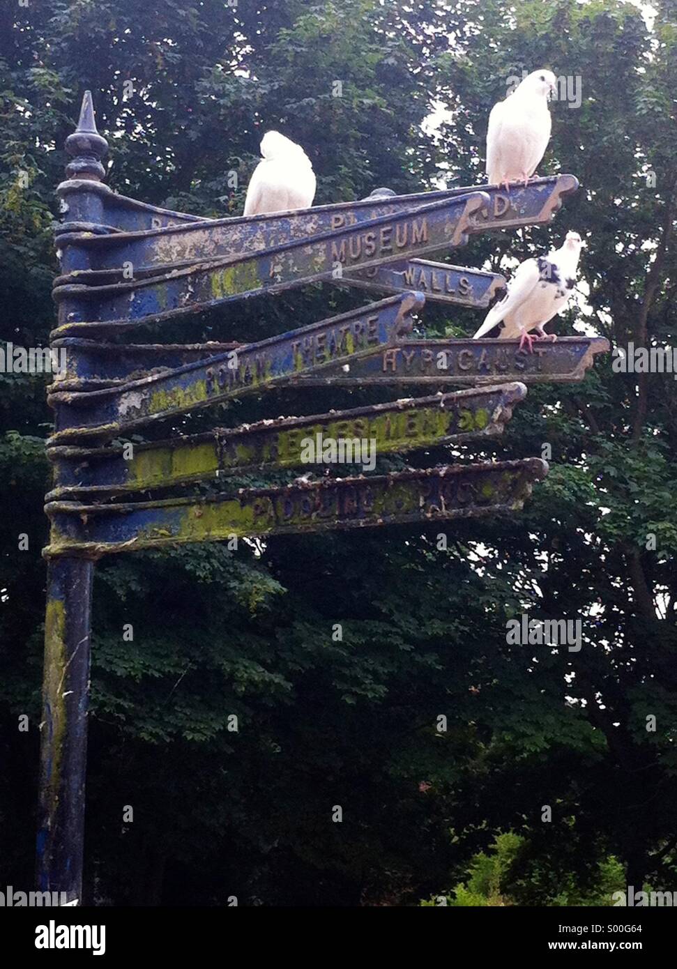 Signpost - Smartphone Captured Stock Image