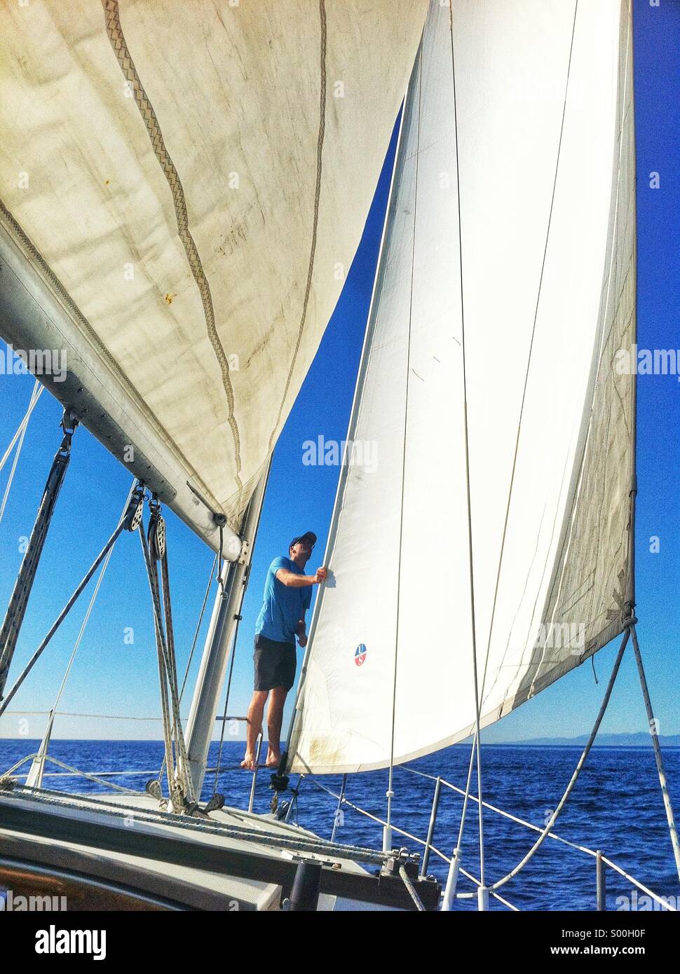 Man adjusting sail on sail boat Stock Photo Alamy
