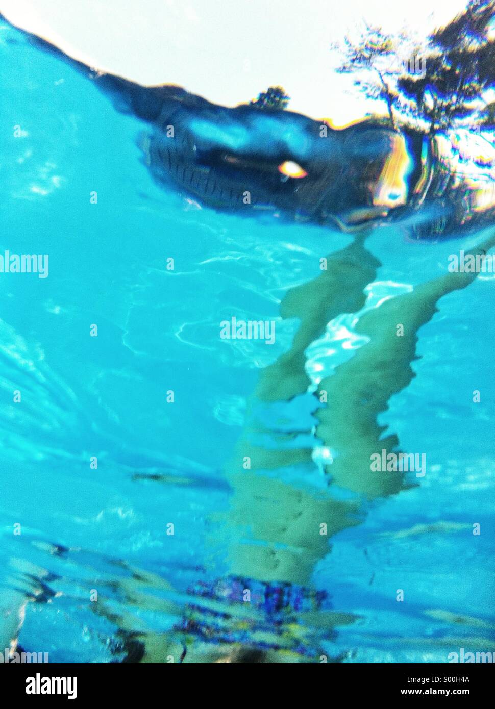 Woman swimming in pool underwater hi-res stock photography and images ...