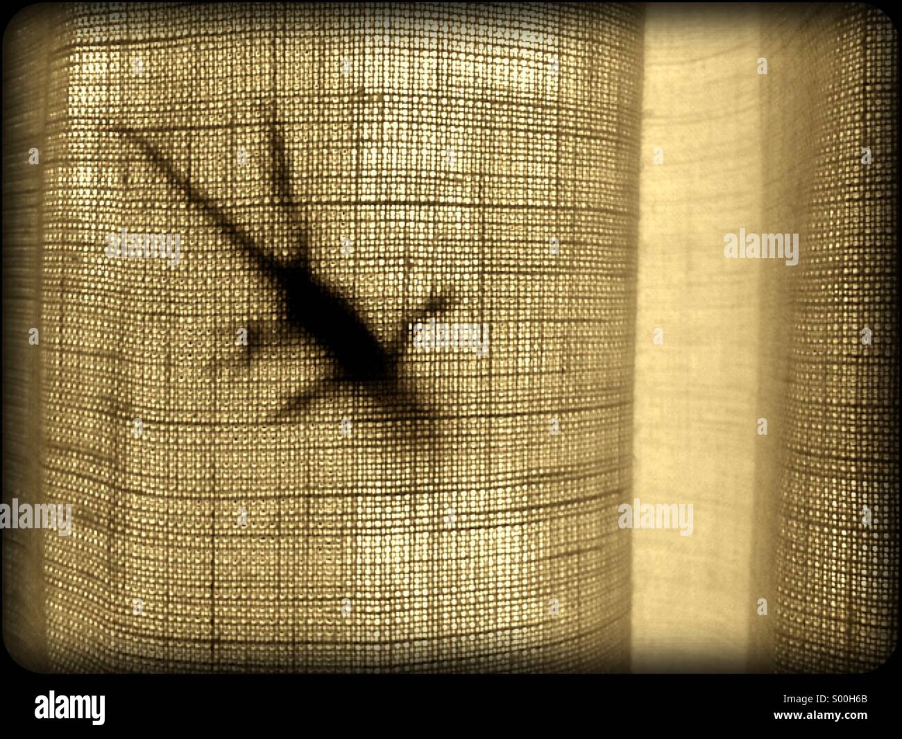 Lizard shadow on curtain - Smartphone Captured Stock Image