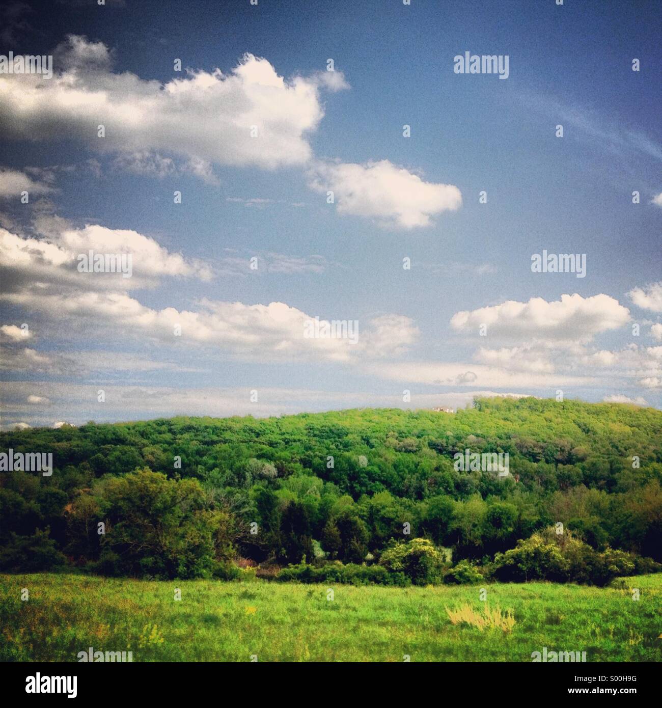 Sunny summer day in the countryside Stock Photo
