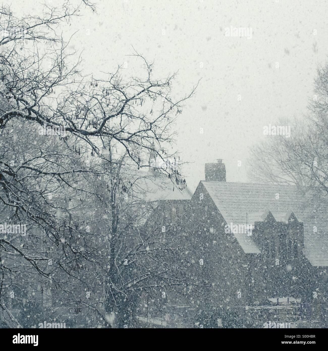 Wintertime snow falling with church in background Stock Photo