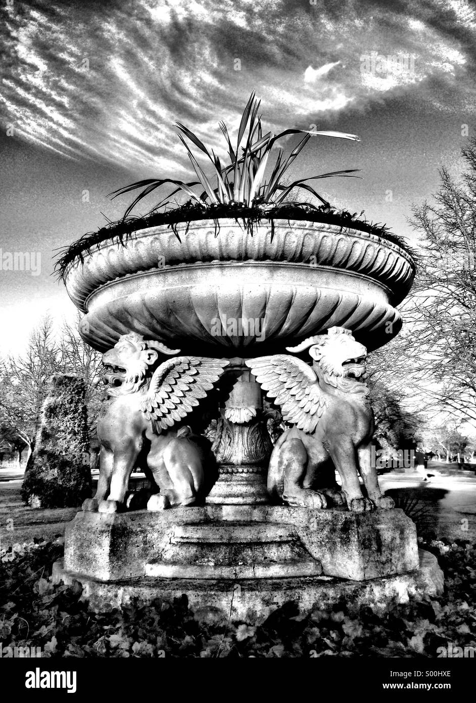 Impressive Victorian Stone planter in Regent's Park, London, supported by griffins - Smartphone Captured Stock Image