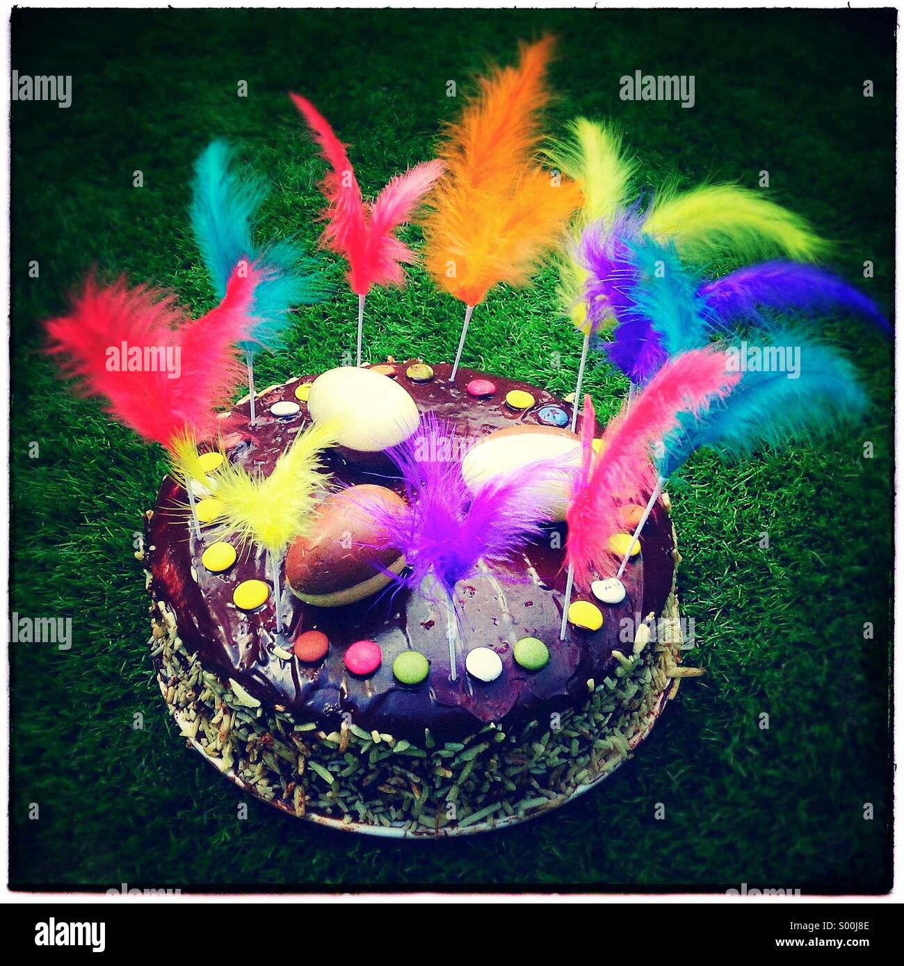 Easter homemade gluten free cake with feathers Stock Photo