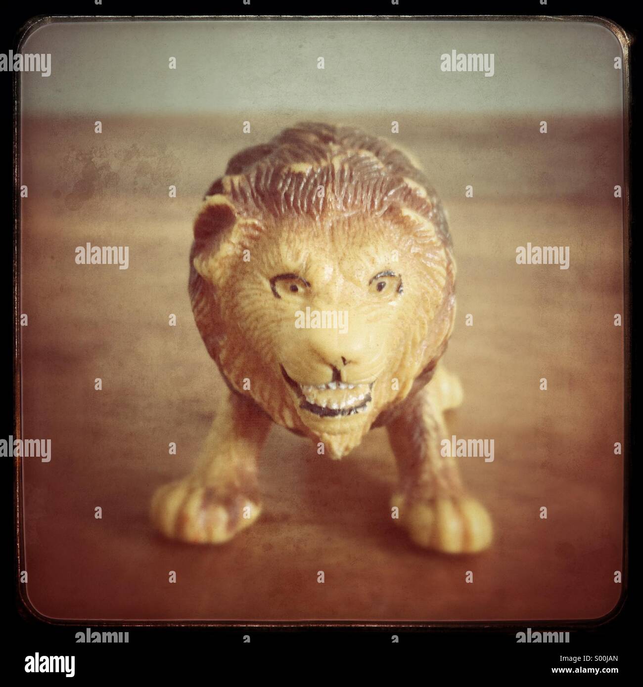 Fearsome toy lion close up Stock Photo
