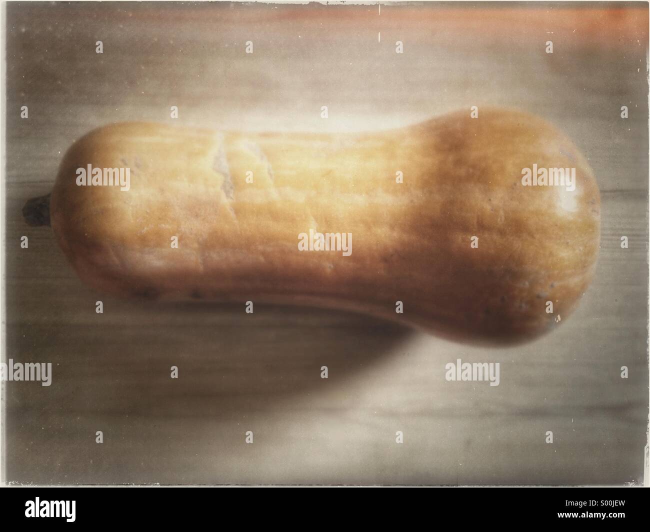 Butternut squash on wooden kitchen table. - Smartphone Captured Stock Image