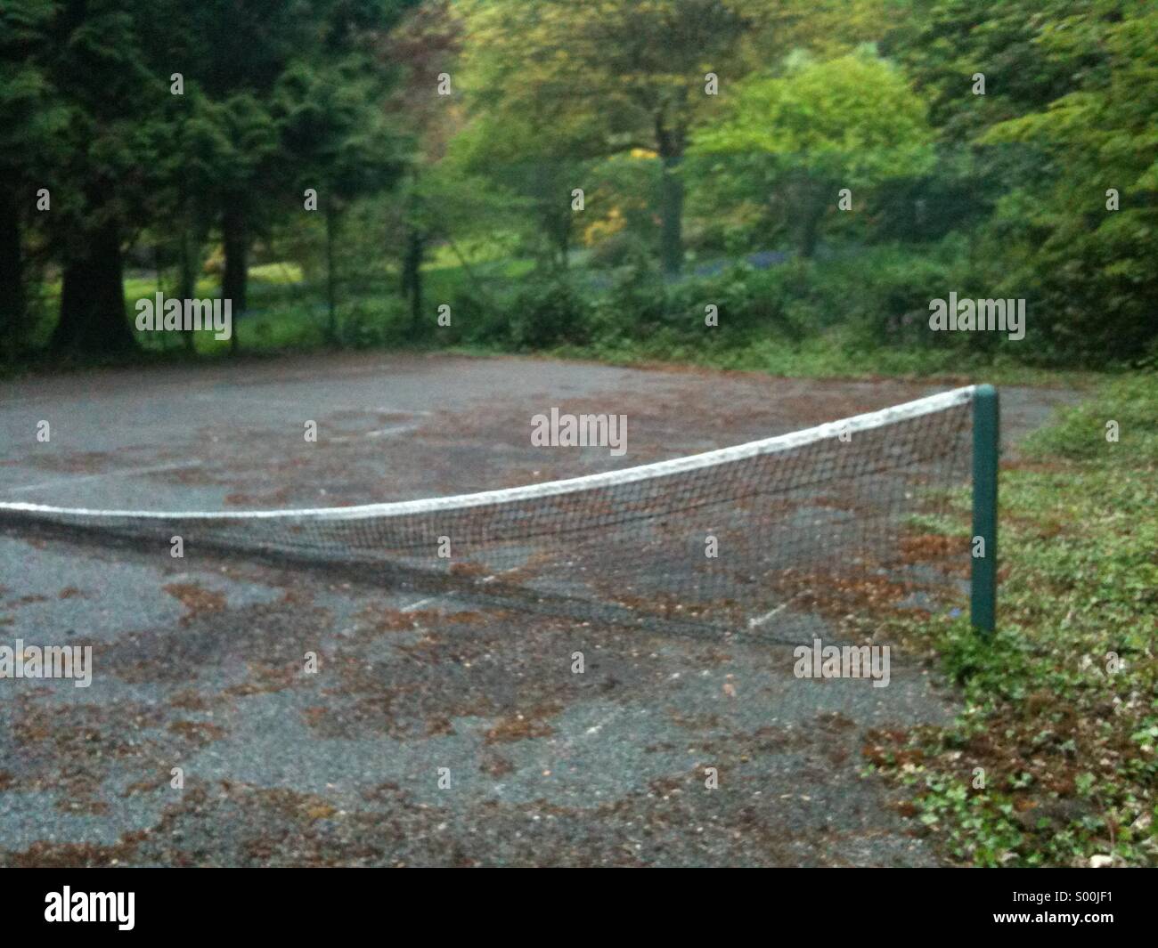 Abandoned tennis court hi-res stock photography and images - Alamy