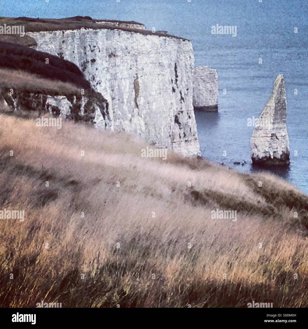 Old Harry, Dorset Coastline, England. Stock Photo