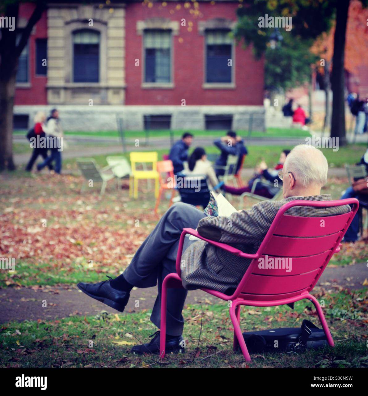 Professor reading in Harvard Yard - Smartphone Captured Stock Image