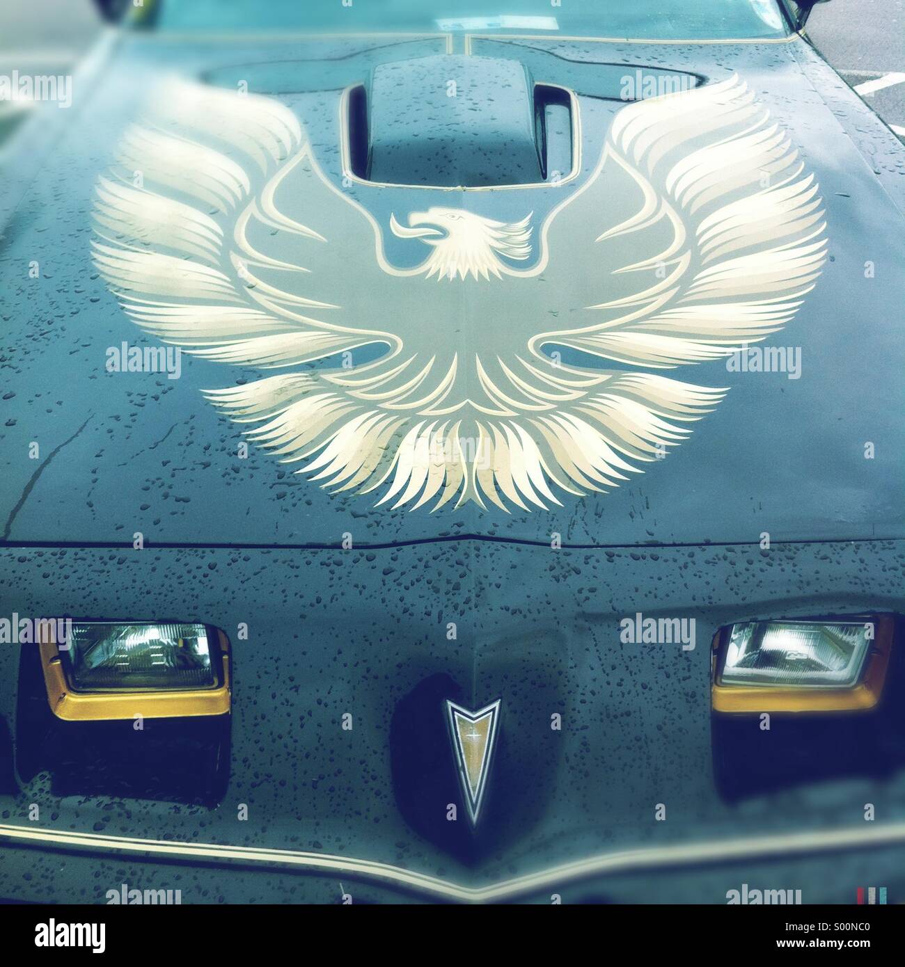 Bonnet detail showing an image of a Phoenix on a Pontiac Firebird Trans Am car. Stock Photo