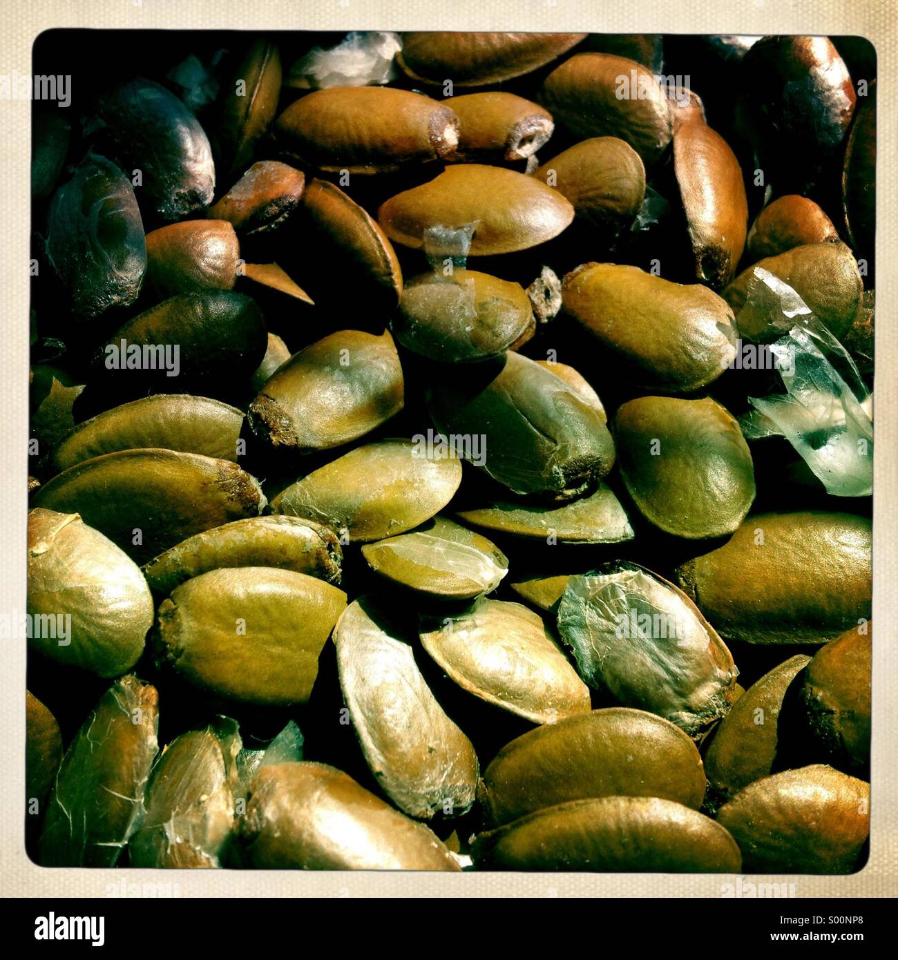 Soursoup dries at the sun in a juice store in Oaxaca, Mexico Stock