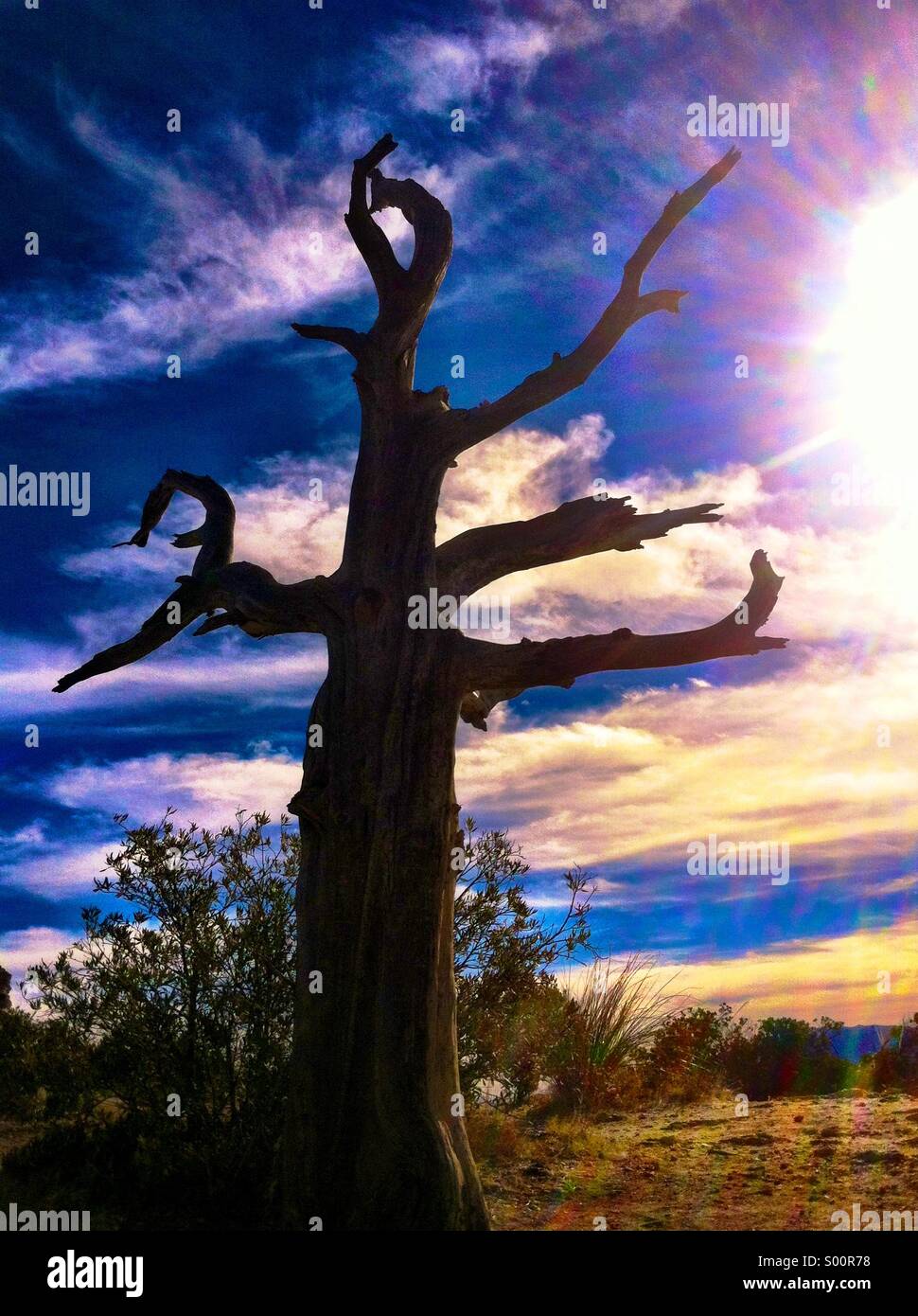 Windy vista point hi-res stock photography and images - Alamy