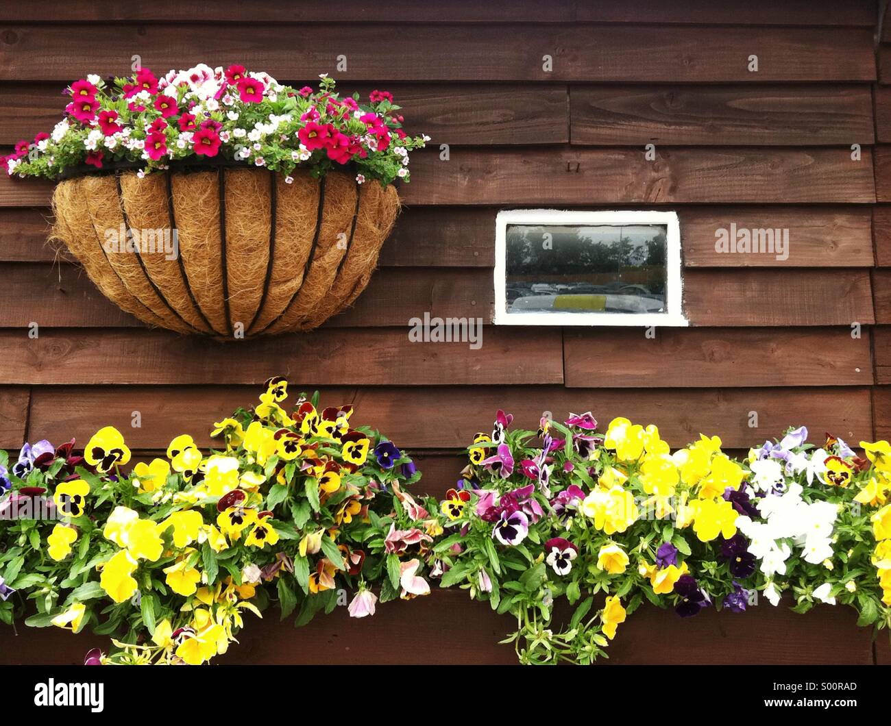 Spring flowers in containers Stock Photo Alamy