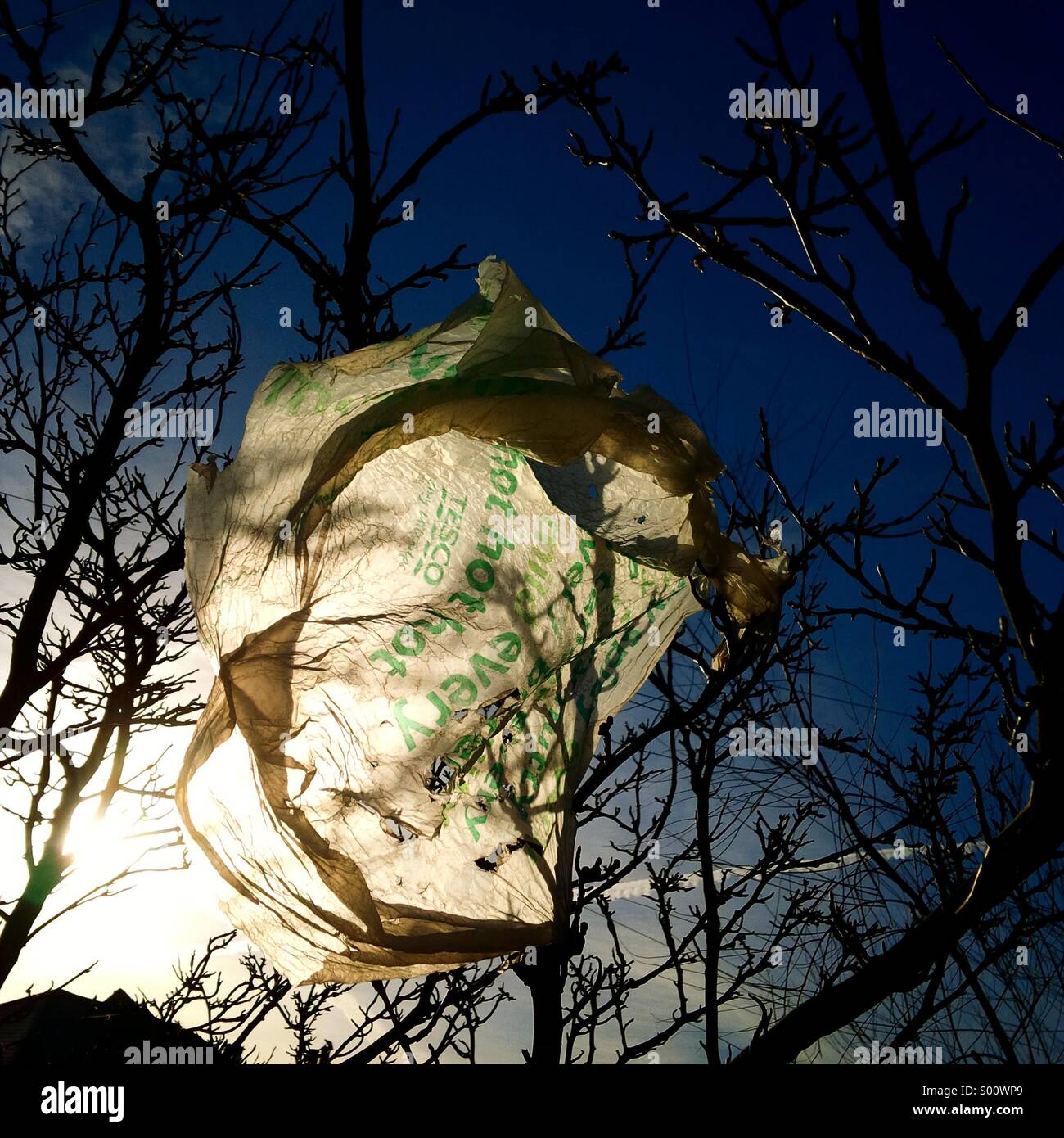 Plastic bag tree hires stock photography and images Alamy