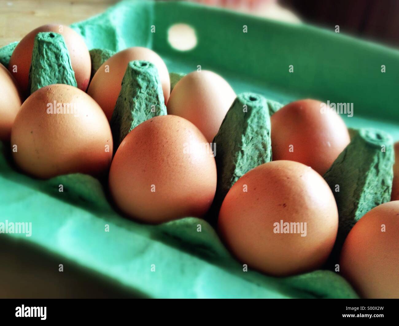 Brown chicken eggs Stock Photo Alamy