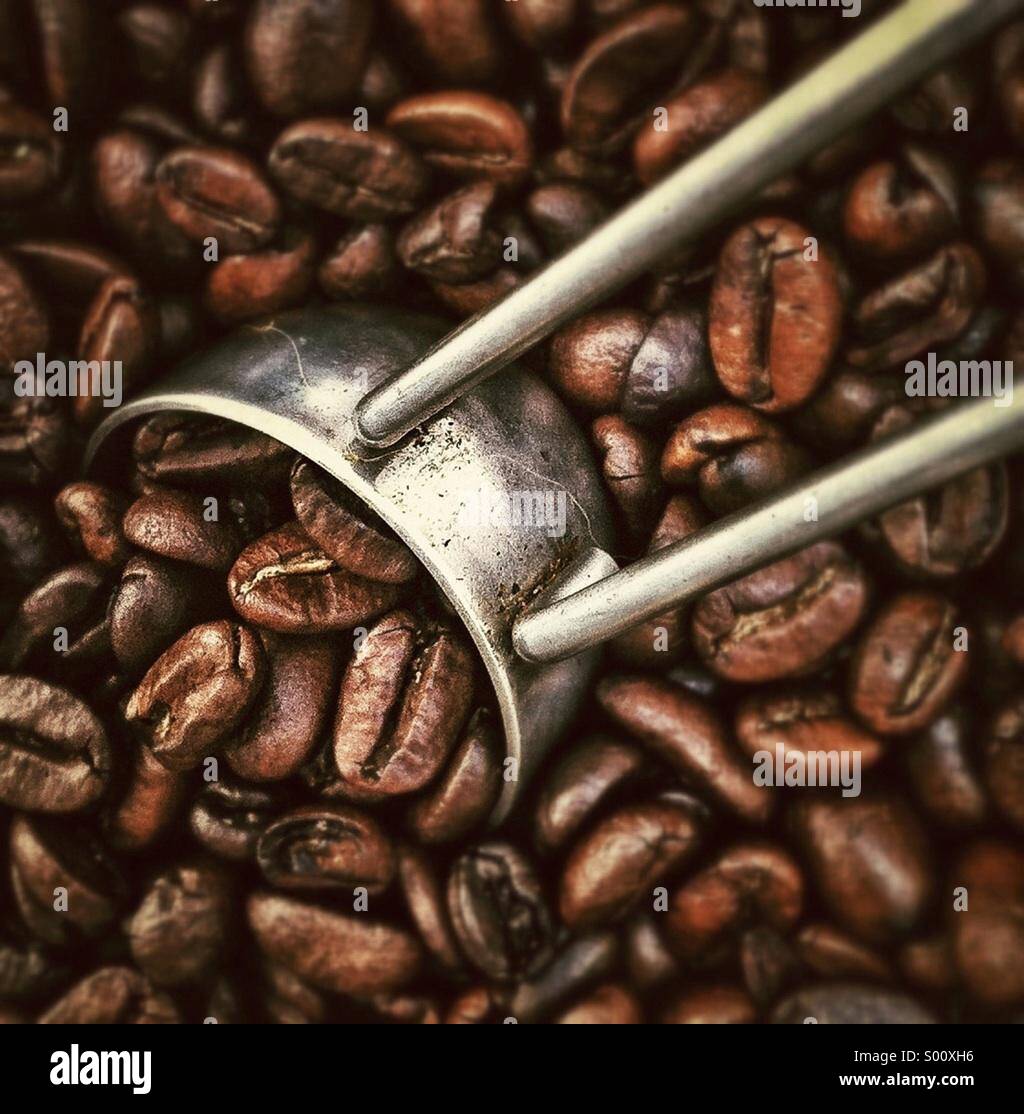Coffee beans close up Stock Photo