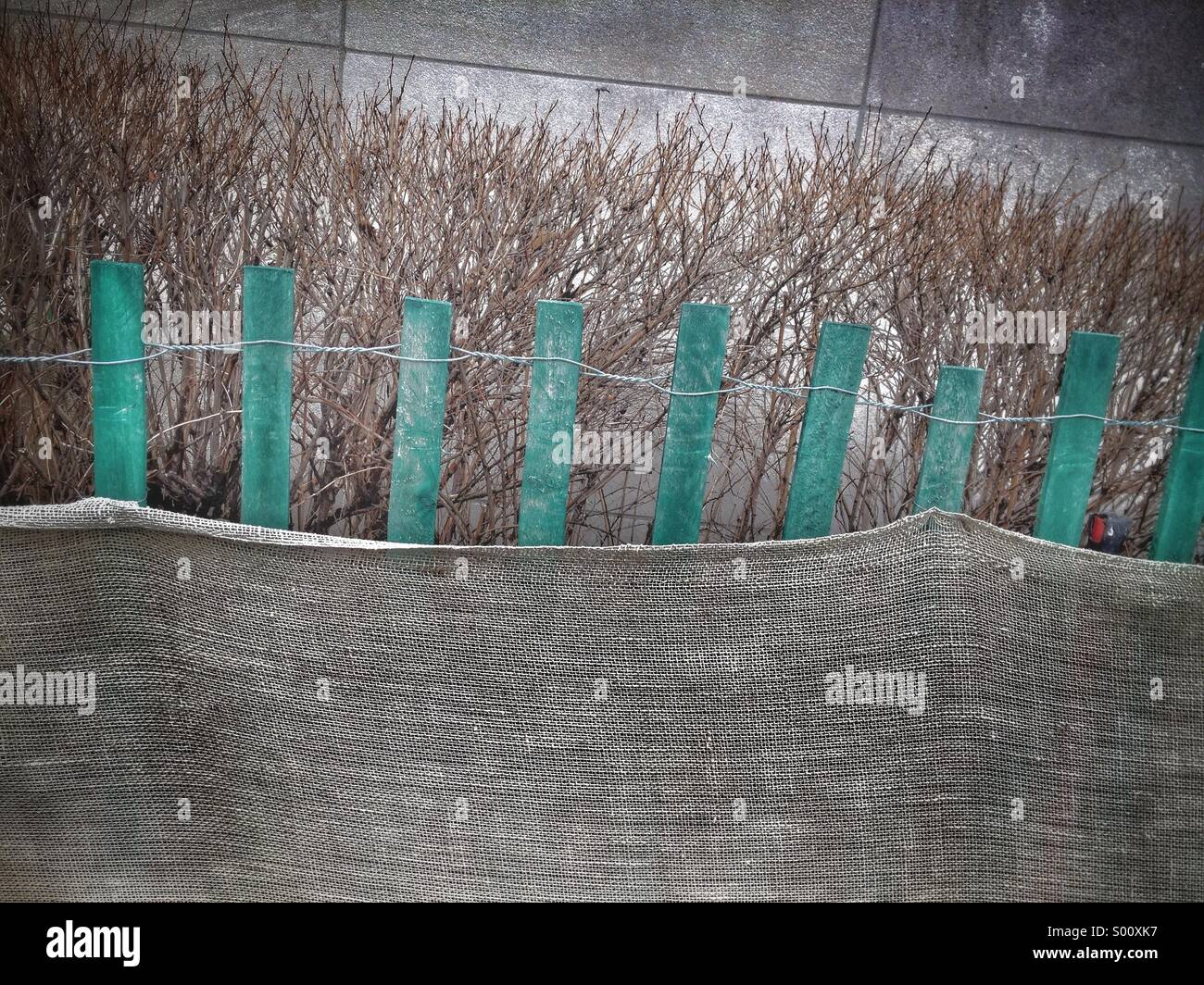 Fence - Smartphone Captured Stock Image