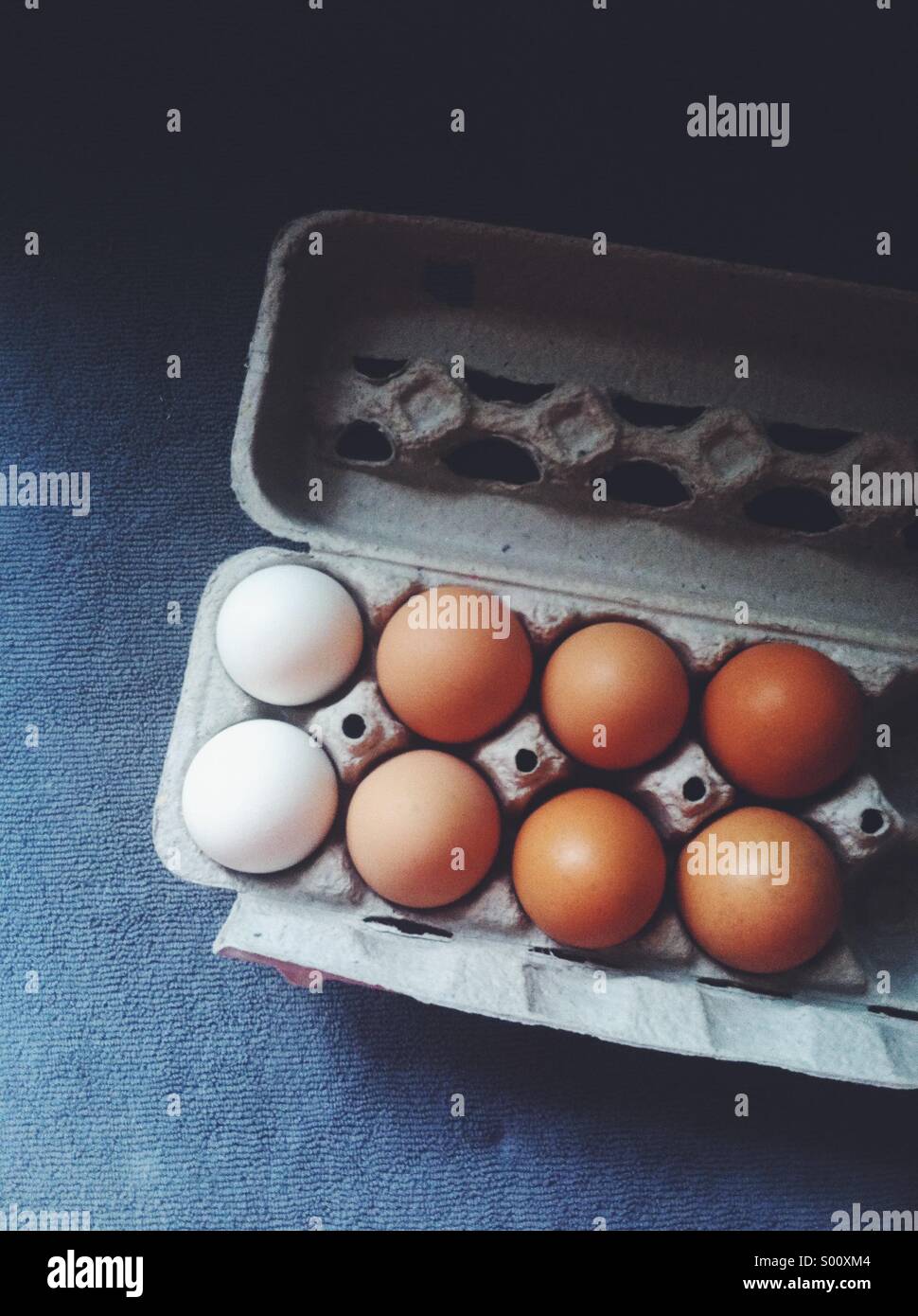 Farm fresh eggs Stock Photo