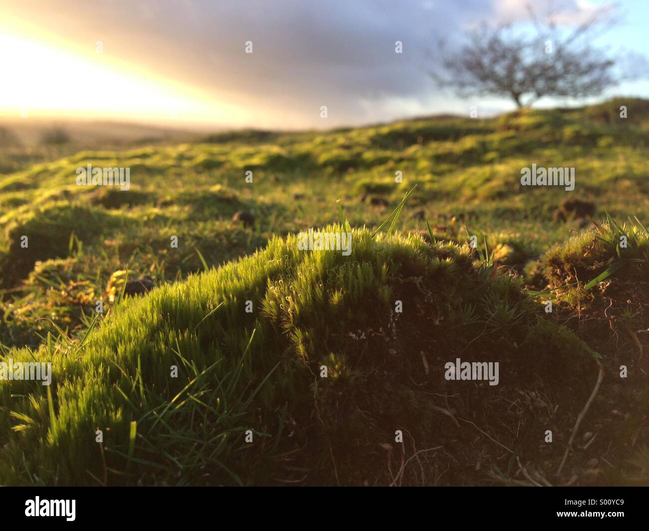 Watlington hill Stock Photo