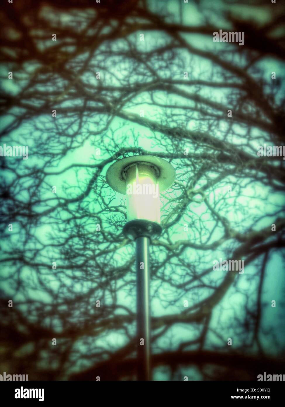 Street lamp at night Stock Photo