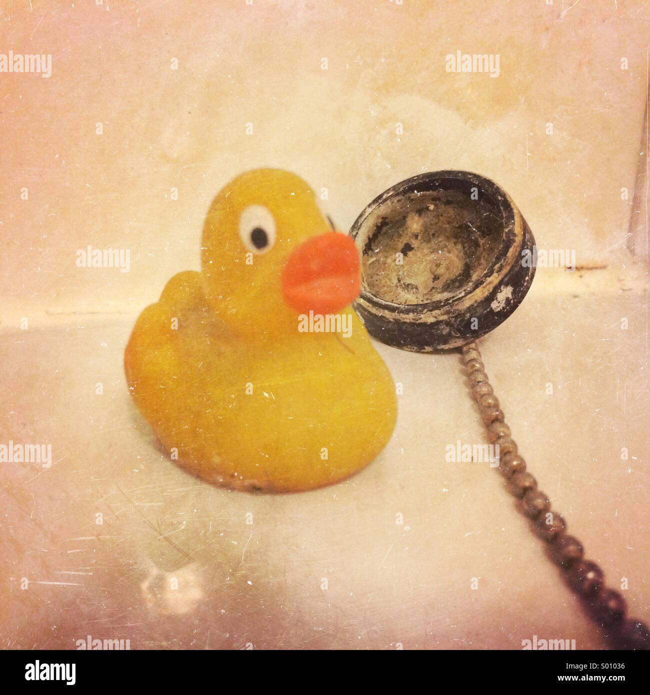 Yellow rubber duck and plug Stock Photo