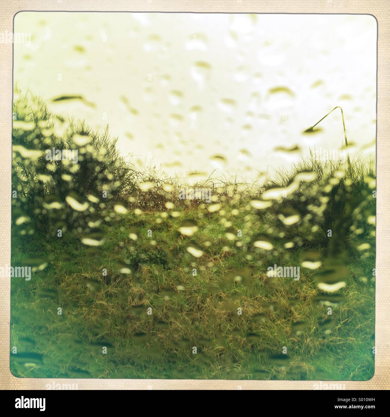 Rain drops on a window - Smartphone Captured Stock Image