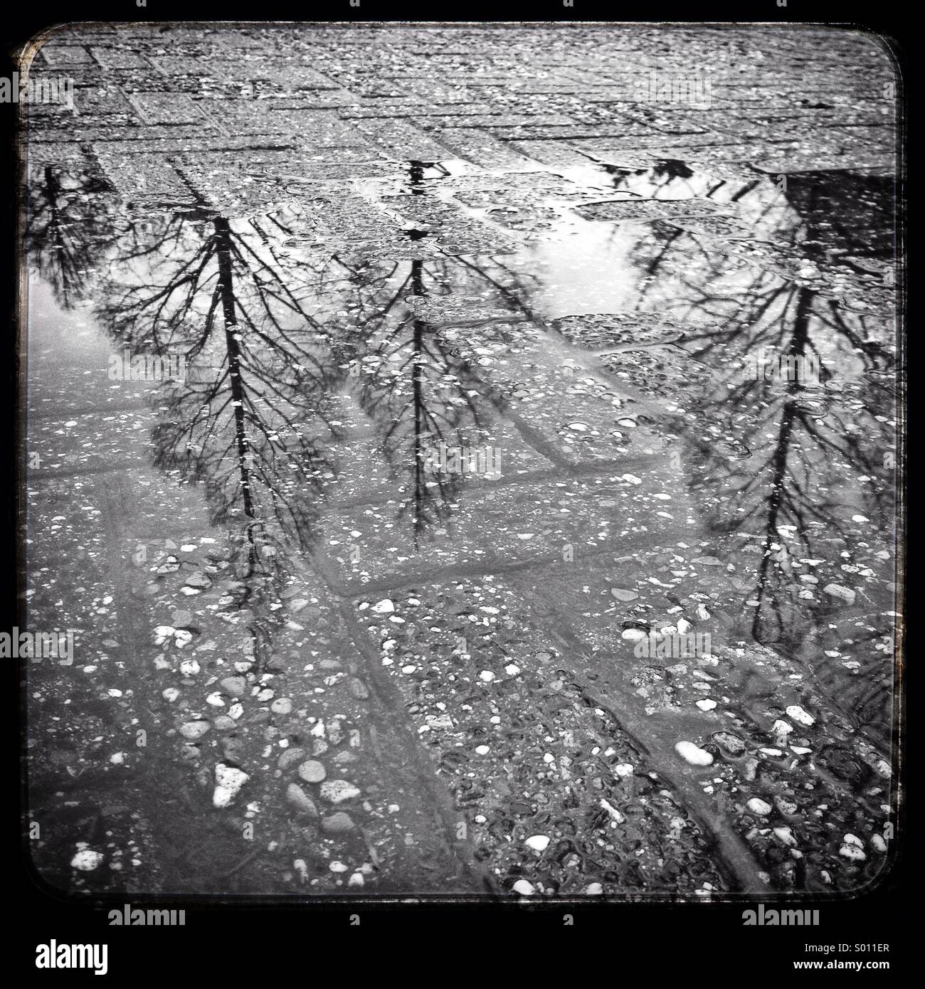 Puddle reflections Stock Photo