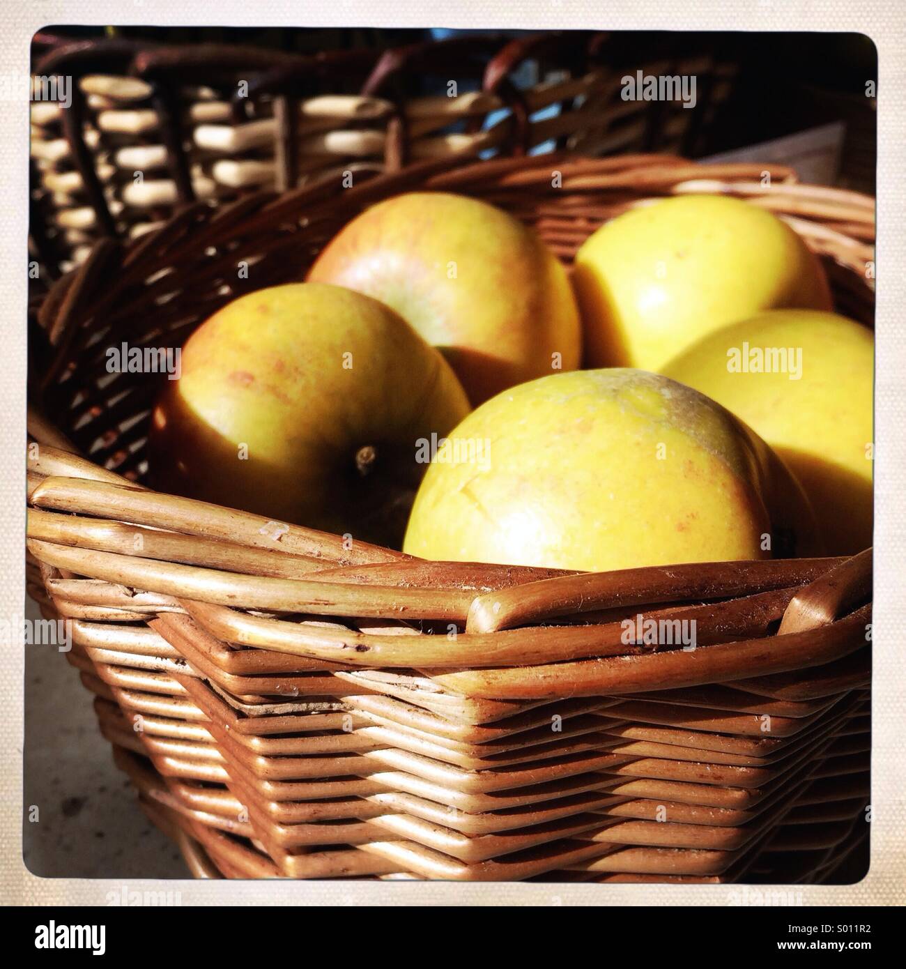 Wicker basket containing fresh juicy apples Stock Photo