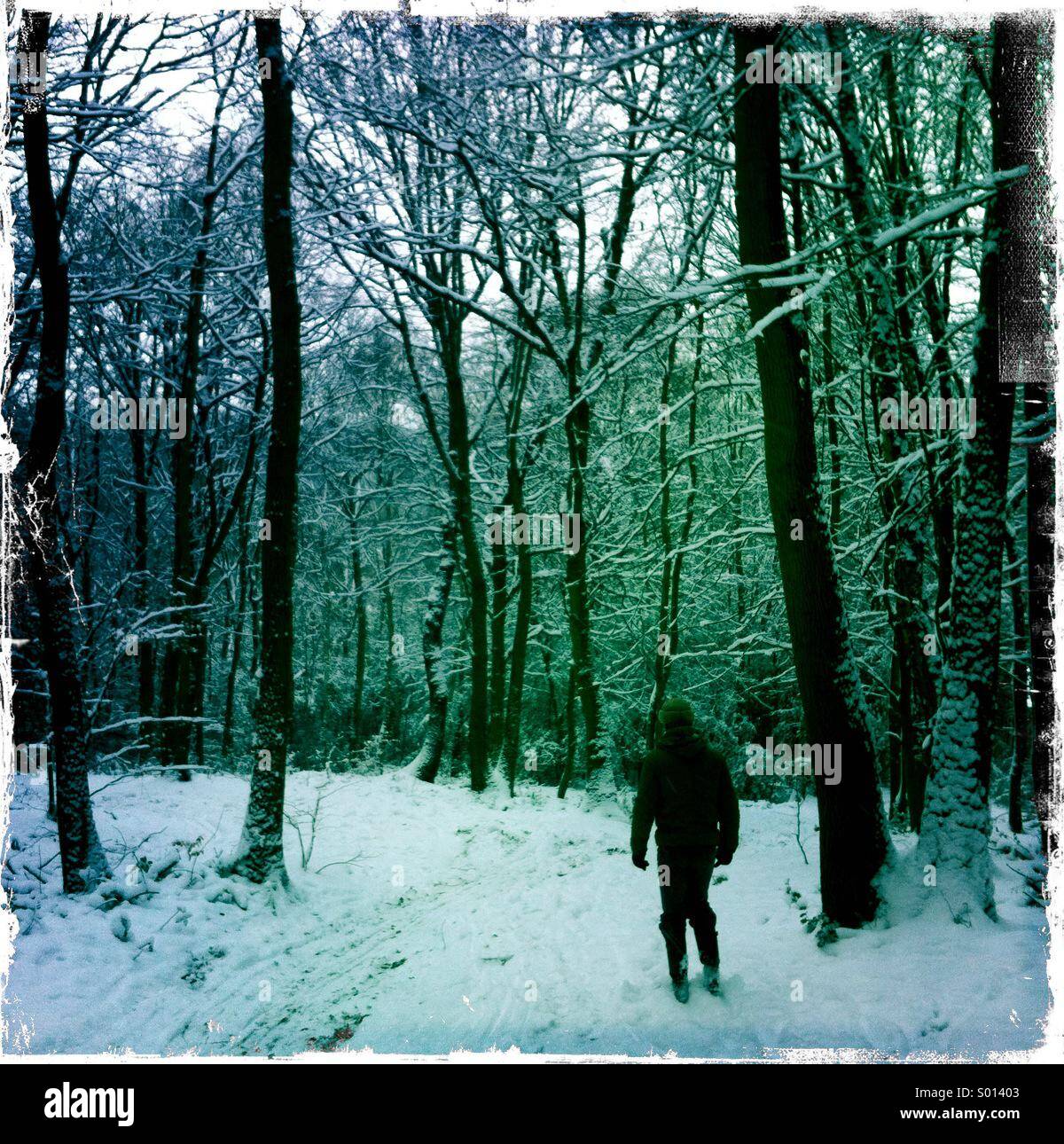 Person in walker hi-res stock photography and images - Alamy