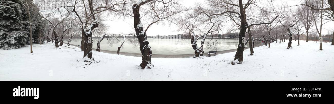 Panorama of Washington DCs famous cherry blossom trees on the banks of the Tidal Basin covered in fresh snow as Washington gets another blast of winter weather. Stock Photo