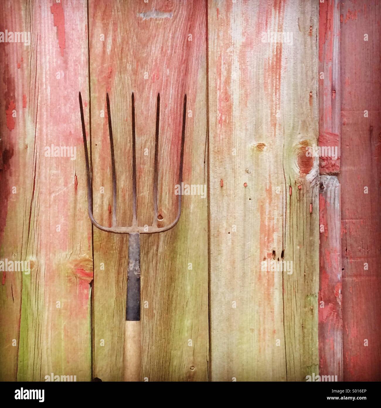 Pitchfork by barn wall - Smartphone Captured Stock Image