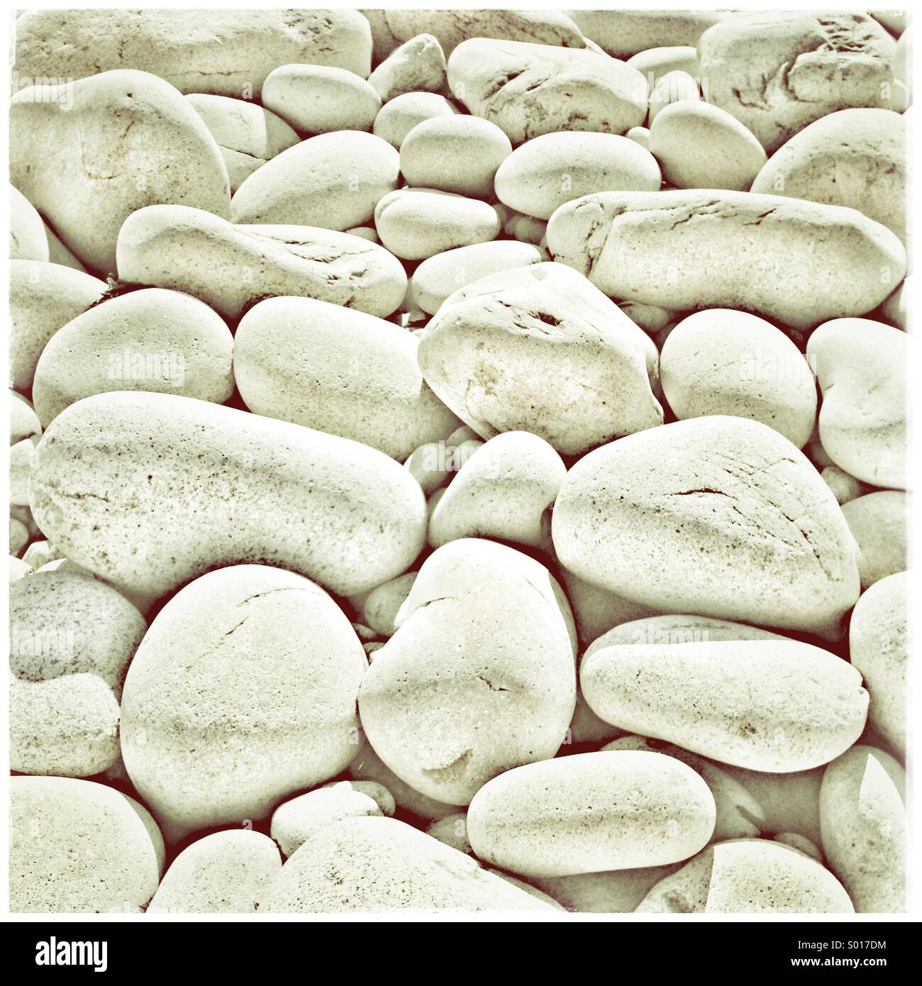 Large white pebbles on a beach Stock Photo