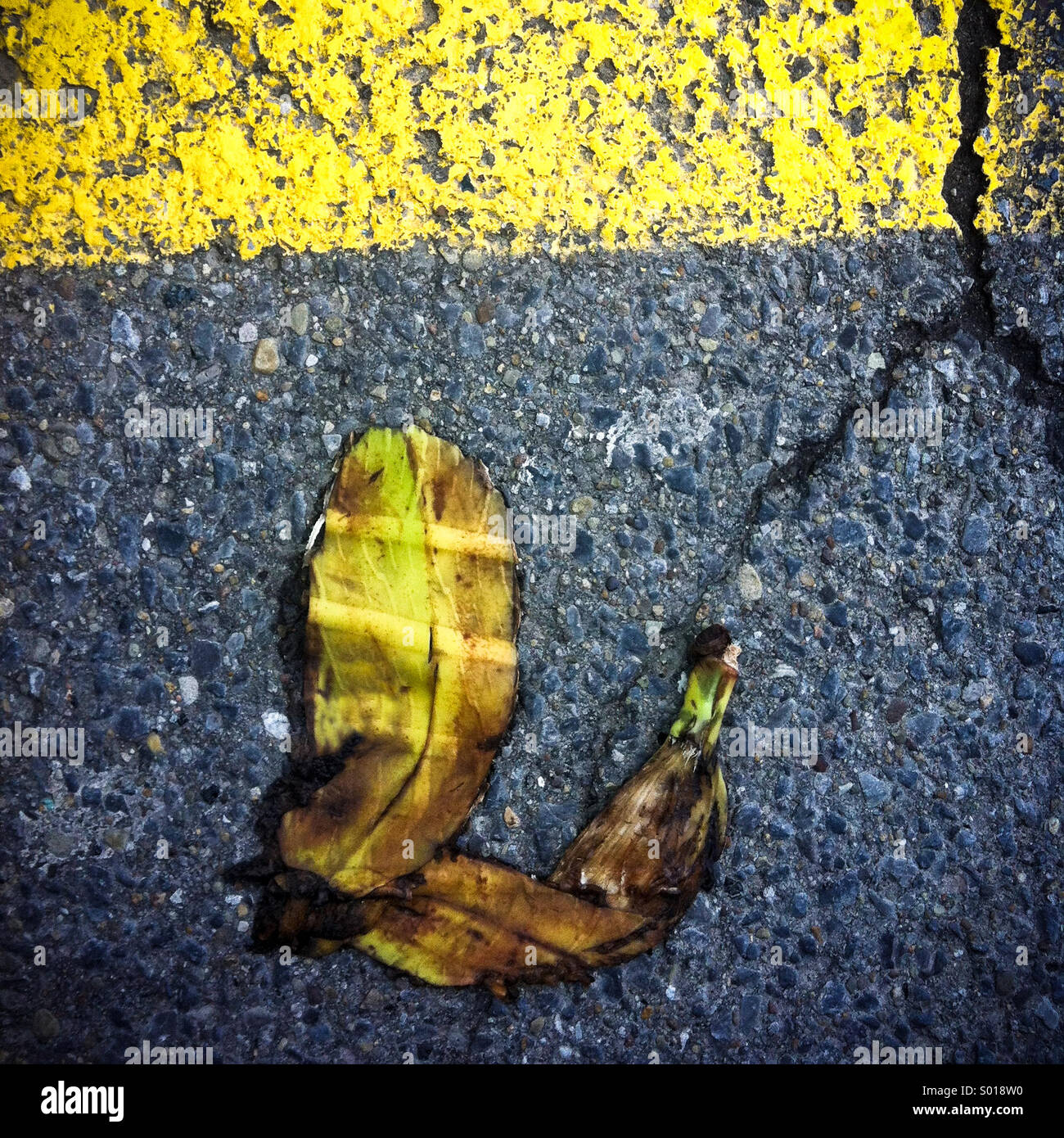 A banana peel that has been run over by a car lying on an asphalt road - Smartphone Captured Stock Image