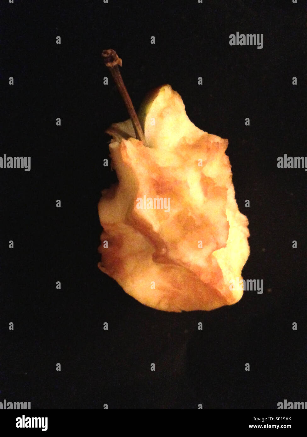 Rotting apple decay Stock Photo Alamy