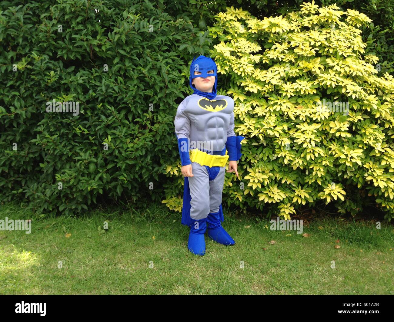 Four year old boy in Batman costume Stock Photo Alamy