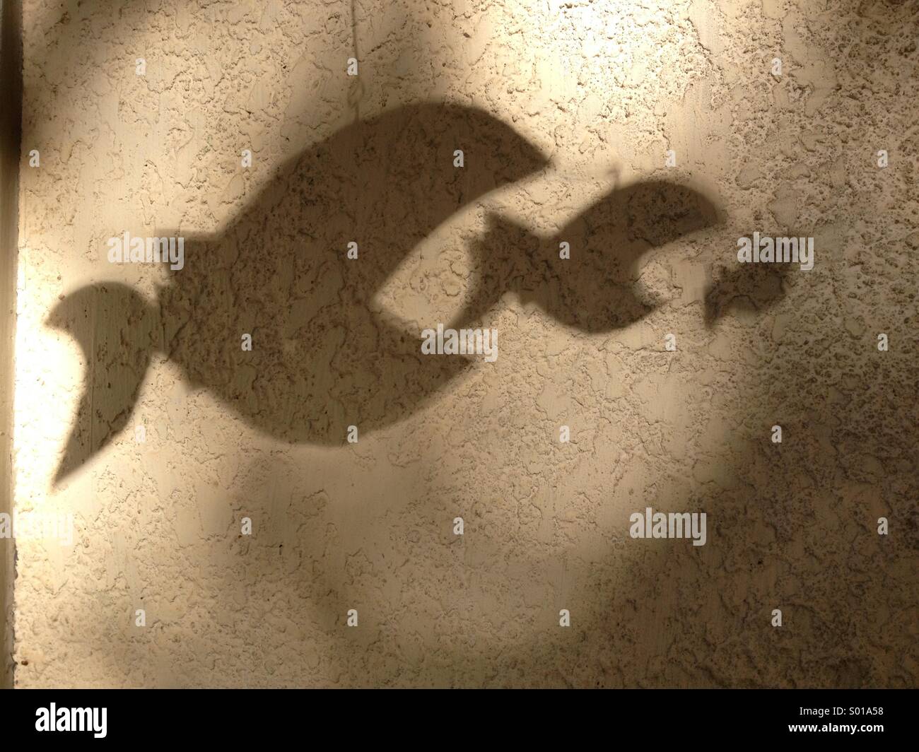 Shadow of hanging sculpture depicts fish food chain Stock Photo