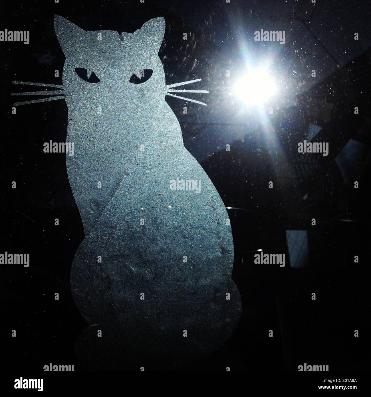 The sun reflects in a car window decorated with a sticker of a cat in Colonia Roma, Mexico City, Mexico - Smartphone Captured Stock Image