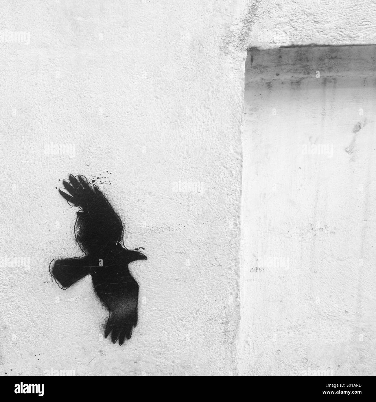 A graffiti of an eagle flying decorates a white wall in Colonia Condesa, Mexico City, Mexico - Smartphone Captured Stock Image
