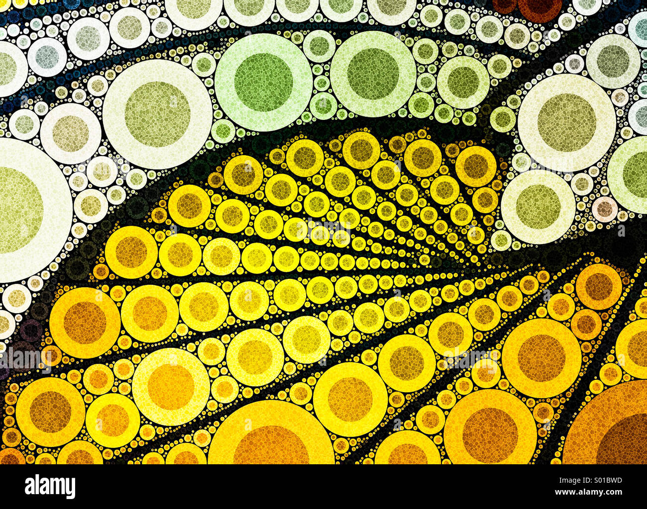 An abstract digital artwork of circular patterns layered over a photo