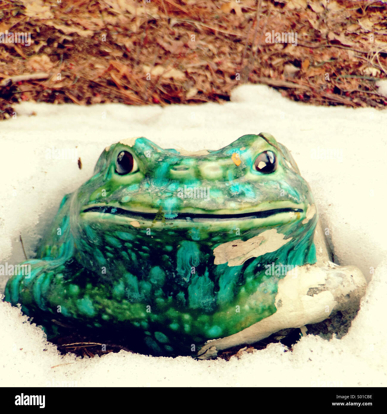 Frog lawn ornament. Stock Photo