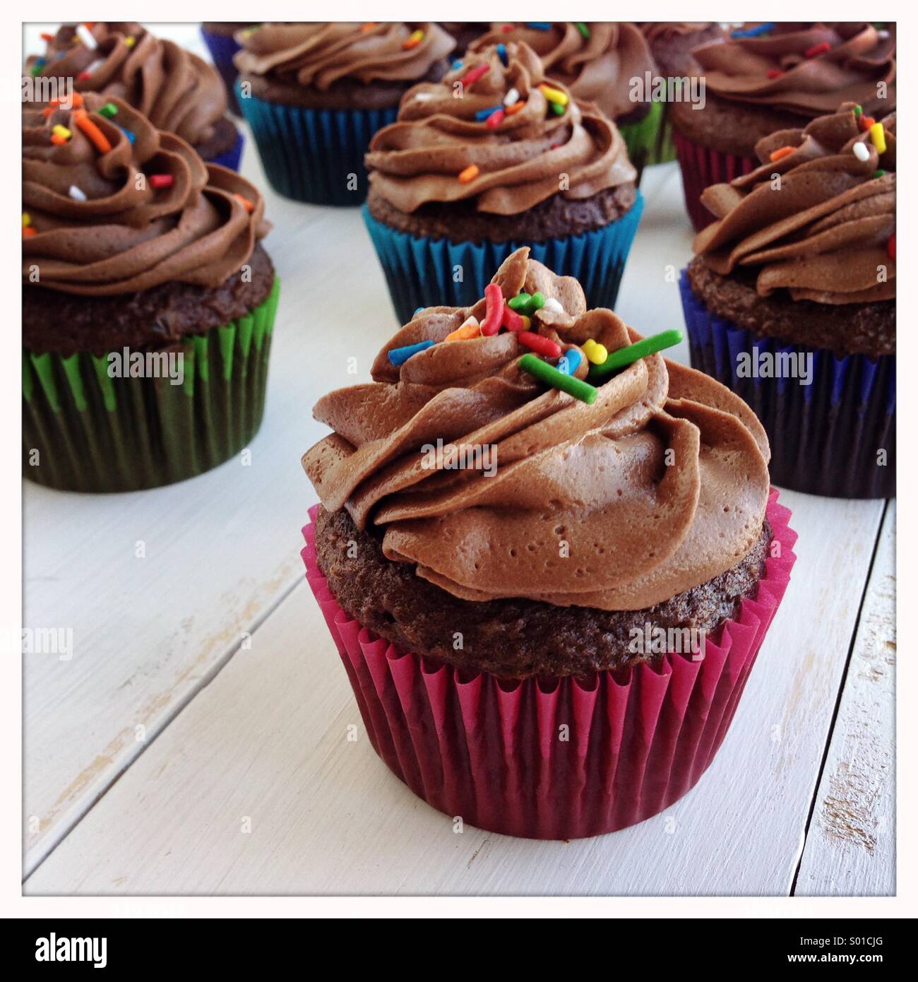 Chocolate cupcakes Stock Photo