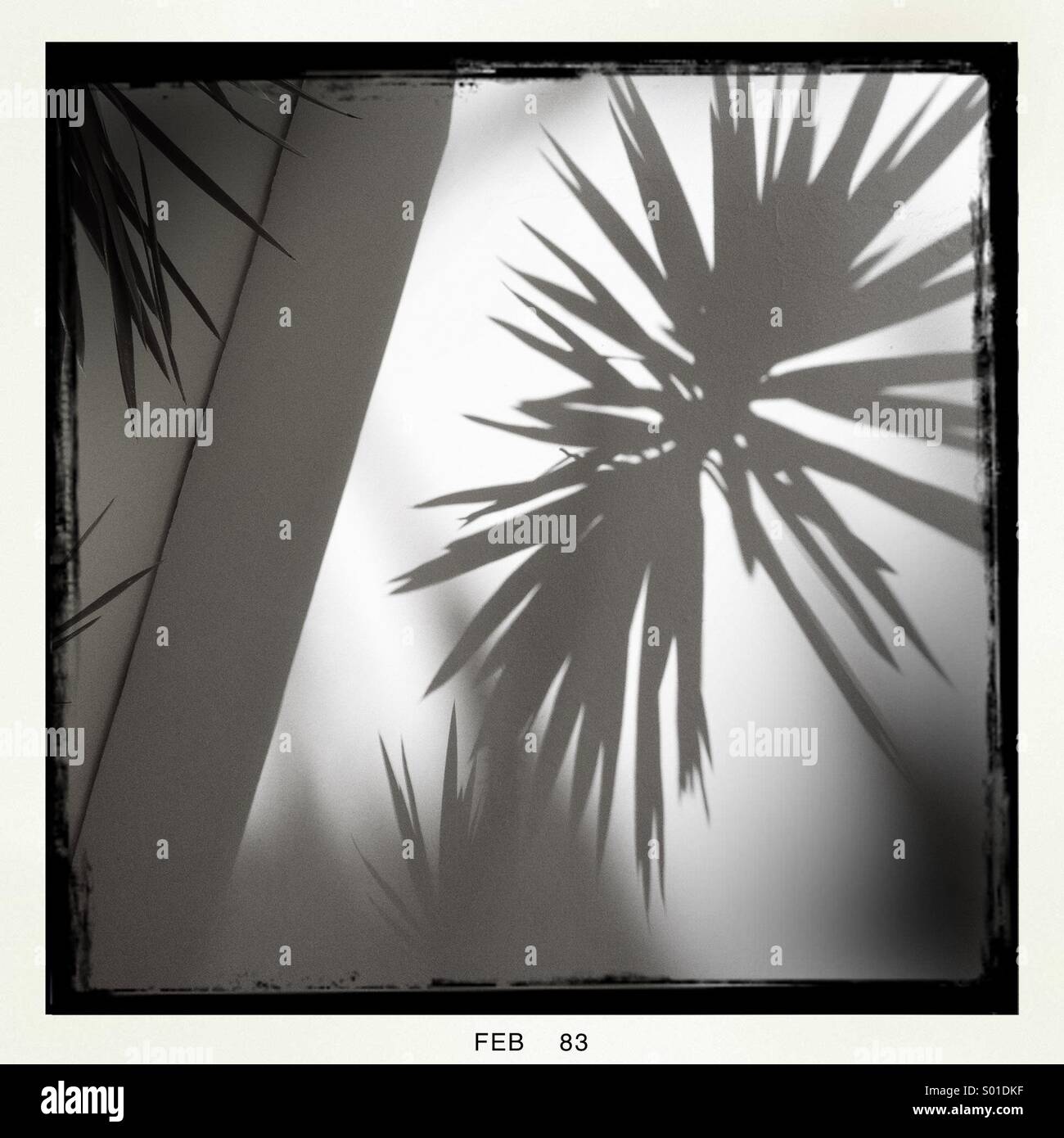 Black and white shadow on a wall Stock Photo Alamy