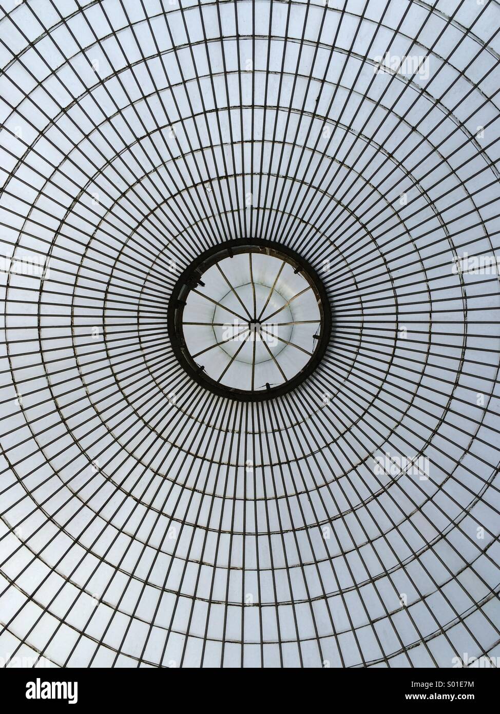 Kibble Palace glasshouse at Glasgow Botanic Gardens, Scotland. - Smartphone Captured Stock Image
