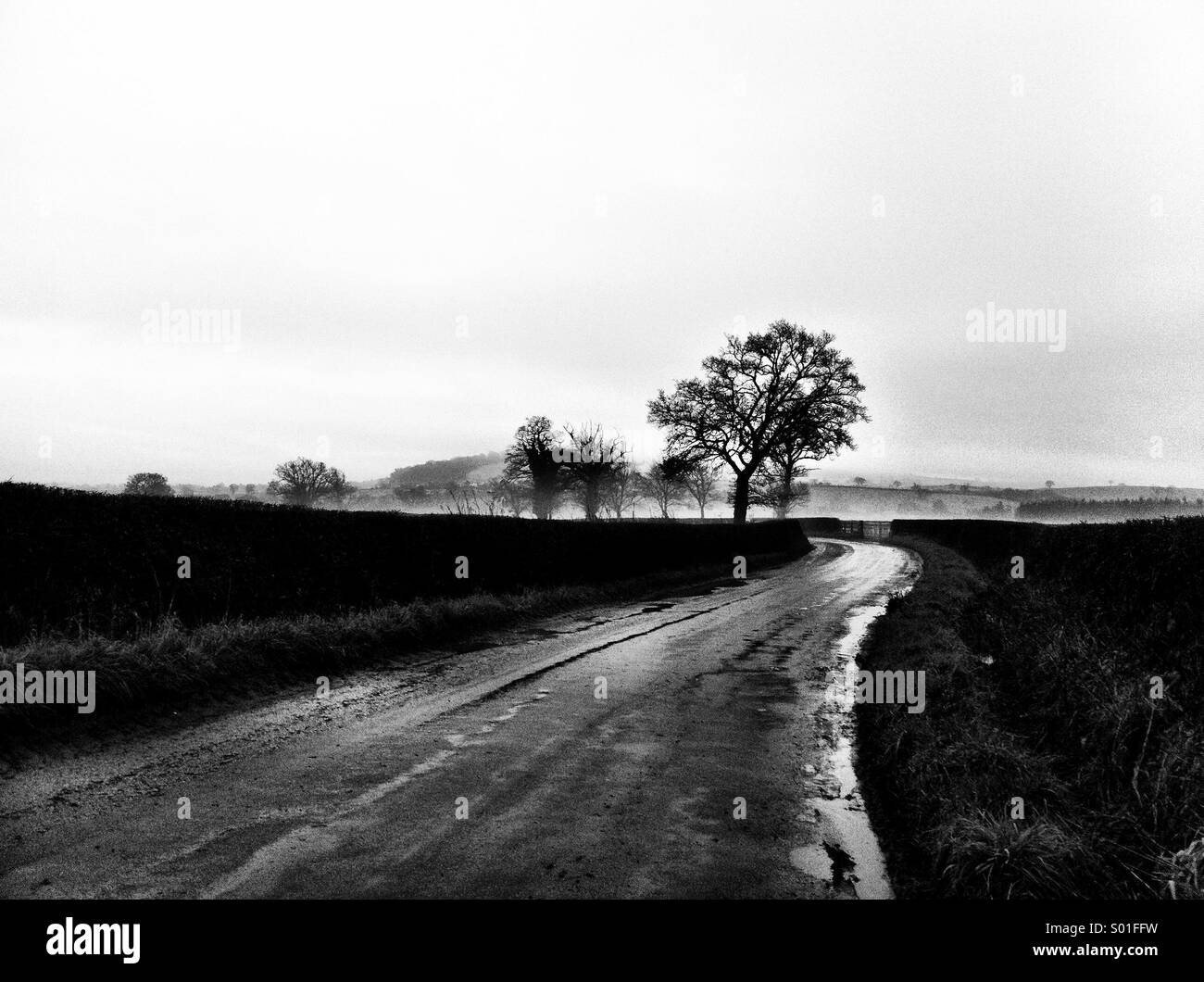 Winding Lane in Welsh Landscape Stock Photo