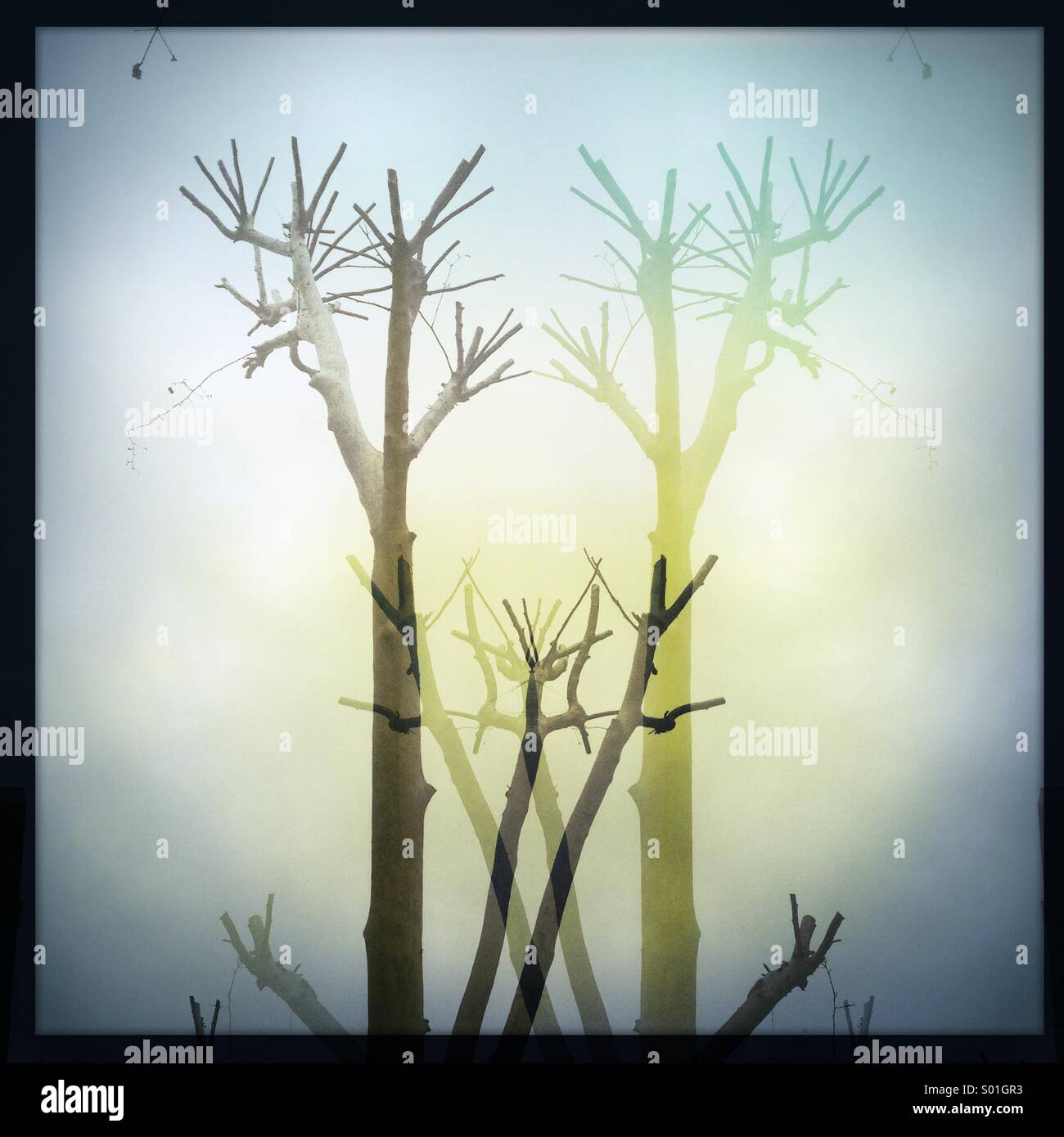 Double vision - Smartphone Captured Stock Image