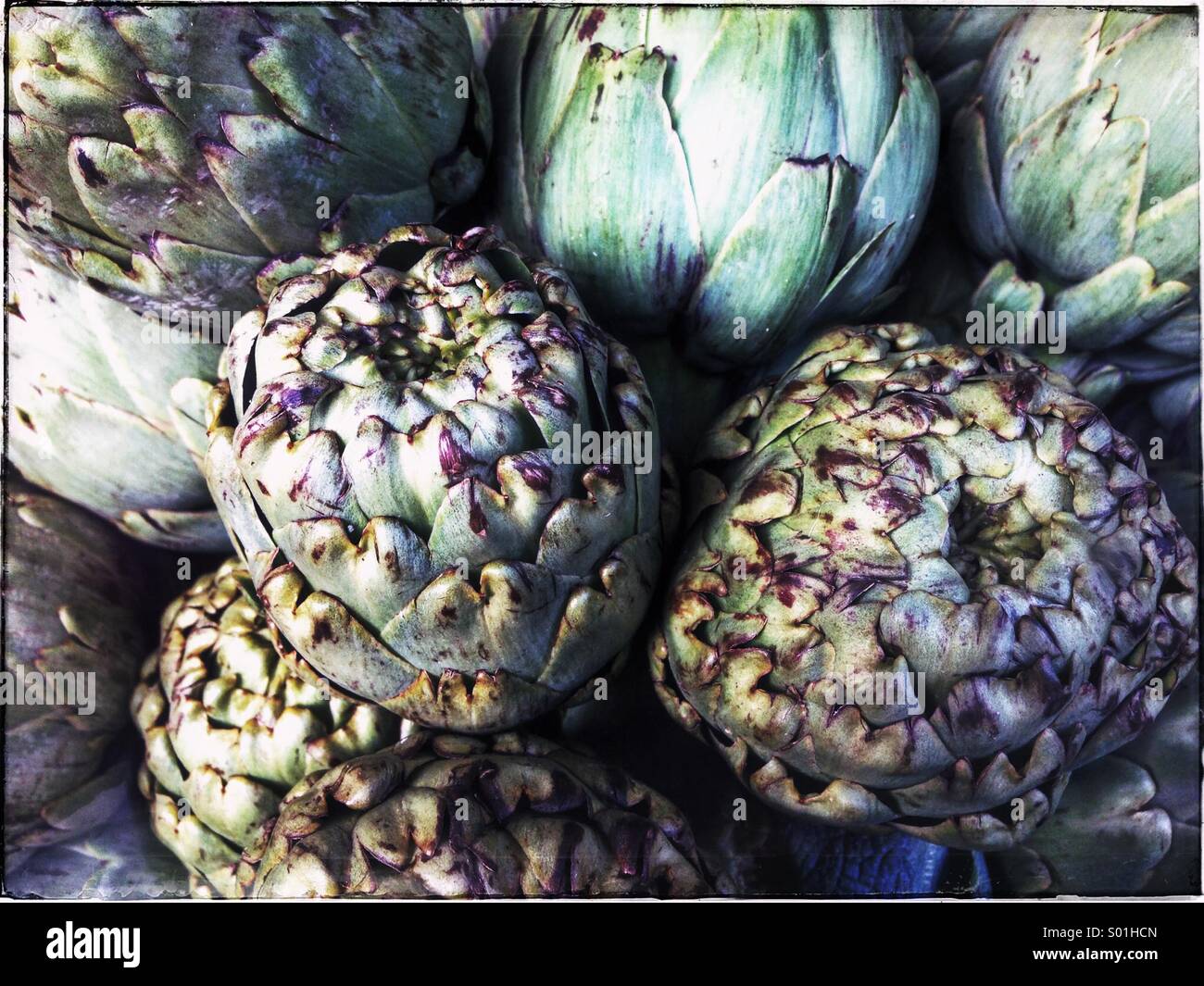 Artichokes - Smartphone Captured Stock Image