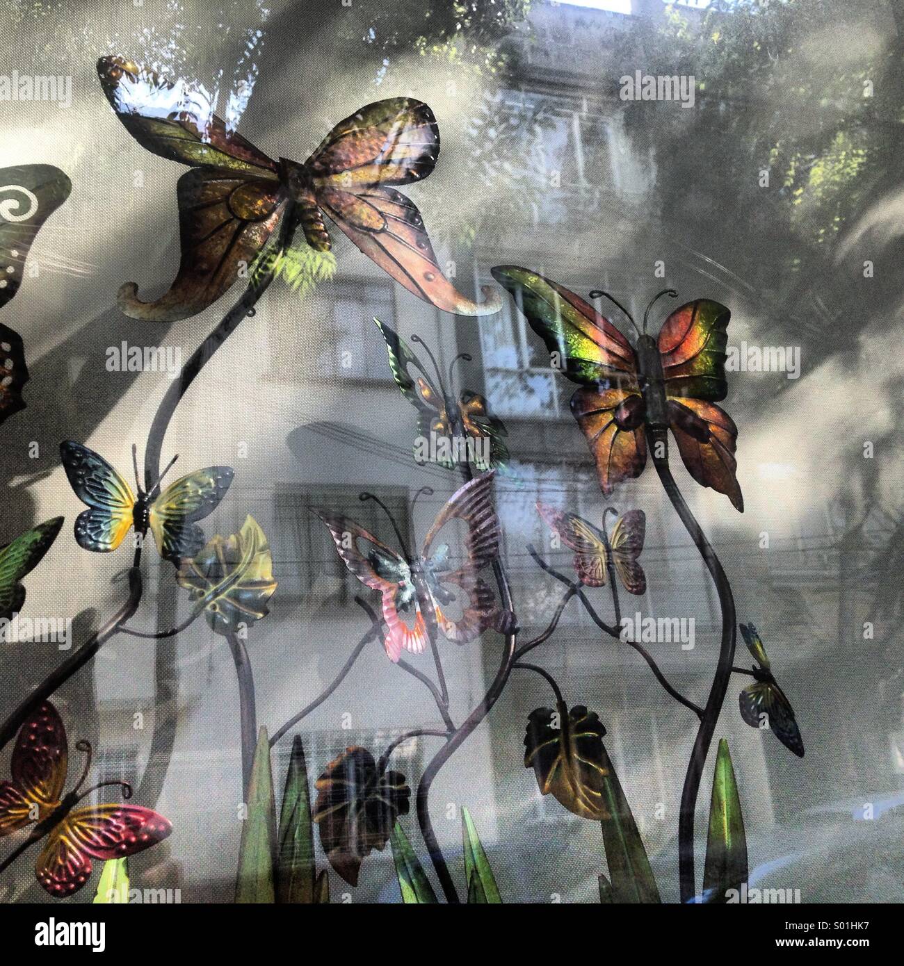 Butterflies decorate a window in a home in Colonia Condesa, Mexico City, Mexico Stock Photo